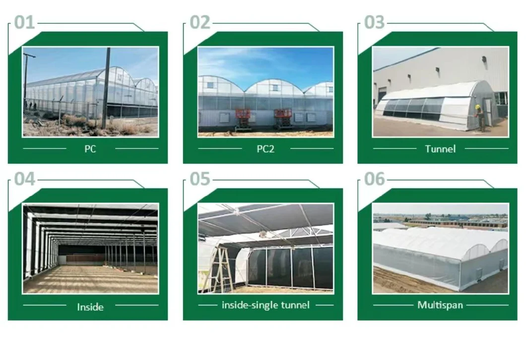 Glass Greenhouse, Intelligent Greenhouse, Flower Shed, Vegetable Galvanized, Sunshine Linkage Greenhouse Manufacturer Supply