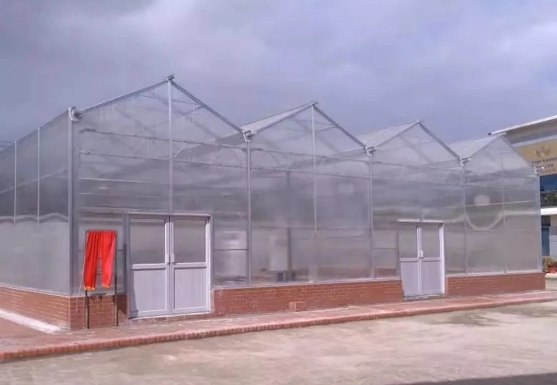 Commercial/Agriculture Polycarbonate Rain Gutter Steel Structure Greenhouse with Hydroponic System for Tomato/ Cucumber/ Lettuce/ Pepper Planting