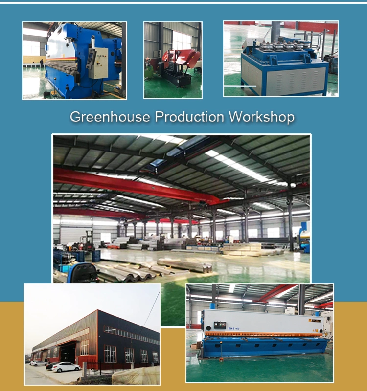 Low Cost Polycarbonate Sheet Commercial Greenhouse for Sale Supply by Chinese Factory