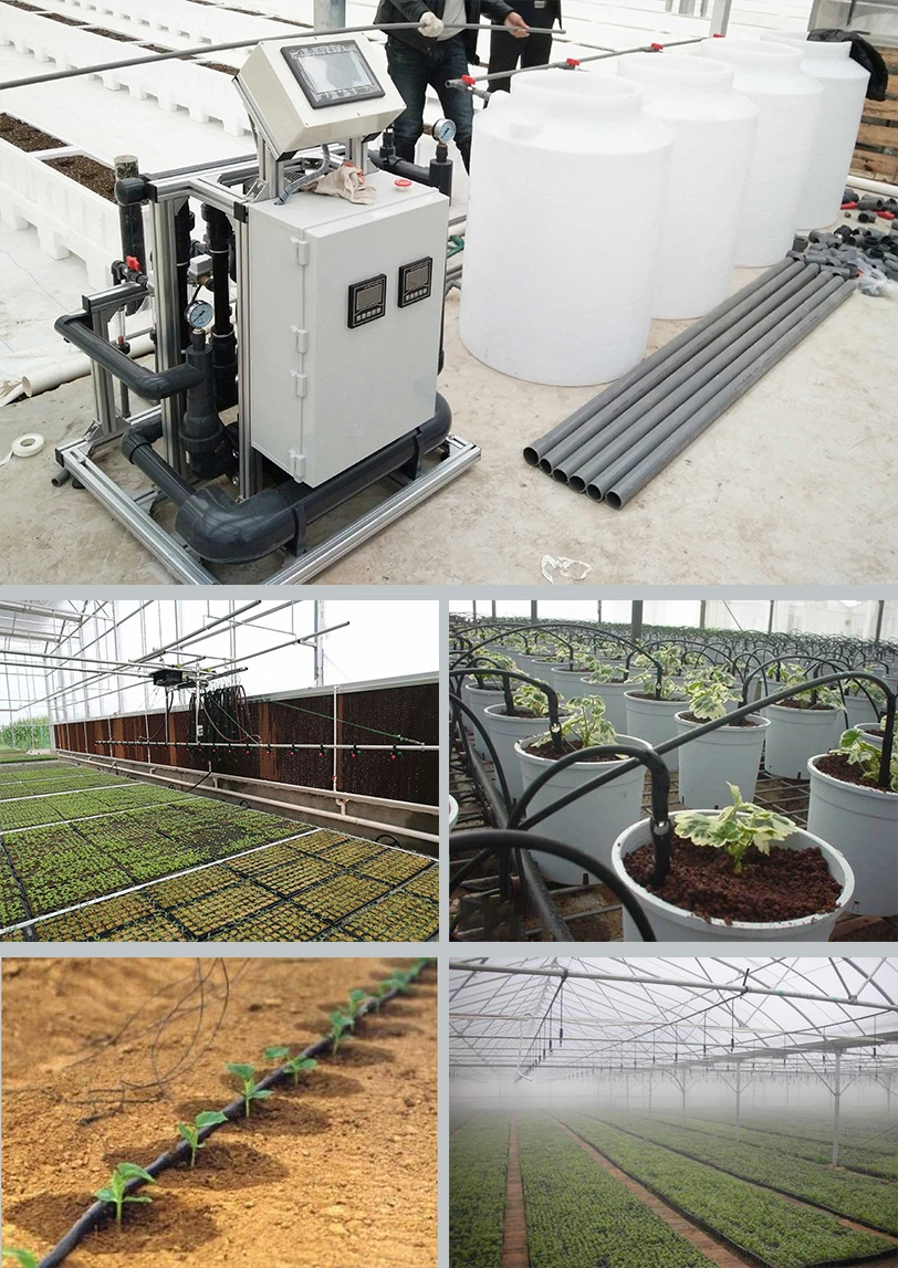 High Quality Venlo PC Greenhouse for Hydroponic Vegetables Planting