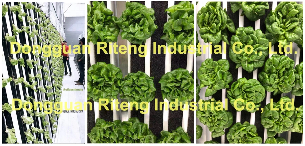 Indoor Cultivation/Planting Tray/Hydroponic Gully Channel Hydroponic Growing Systems Equipment