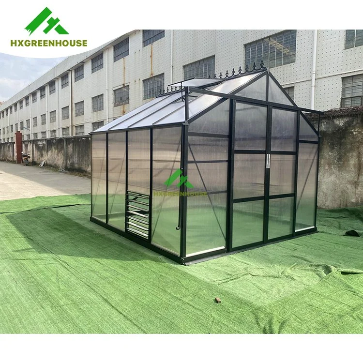 Hot Sale 10mm Polycarbonate Huixin Green Houses Aluminum Frame House Other Garden Greenhouse