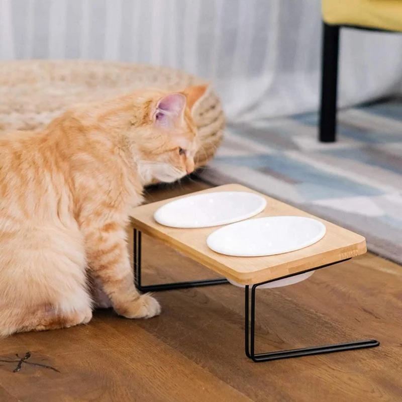 Elevated Cat Ceramic Bowls Stand for Food and Water Tilted Feeding Position