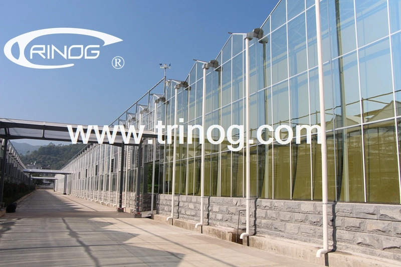 Trinog Greenhouse venlo glass portable greenhouse Green house with hydroponics system