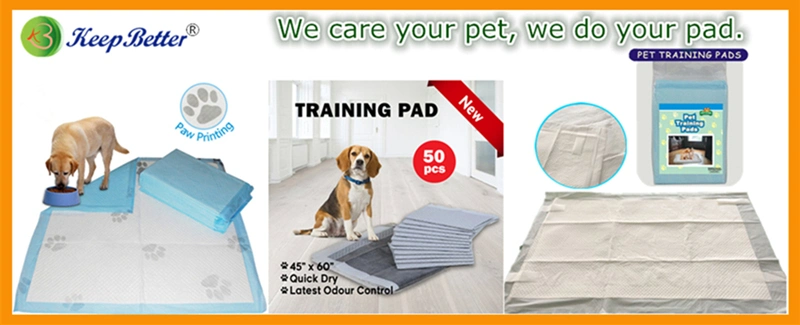 Disposable Anti-Slip Pet Pad Pet Training