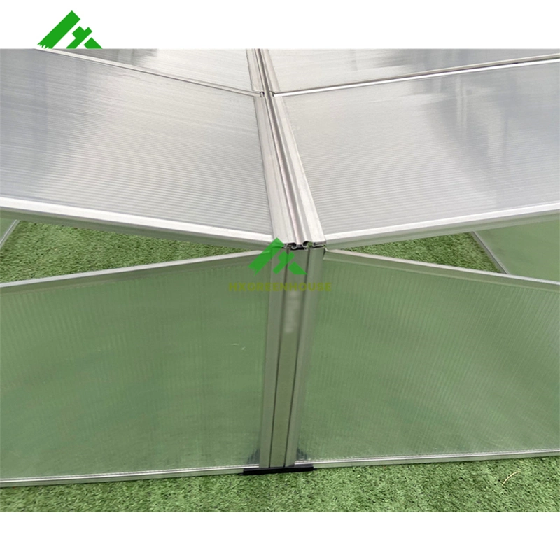 Plastic Grow Tent Complete Kit for Garden Flowers Hx63 Green House