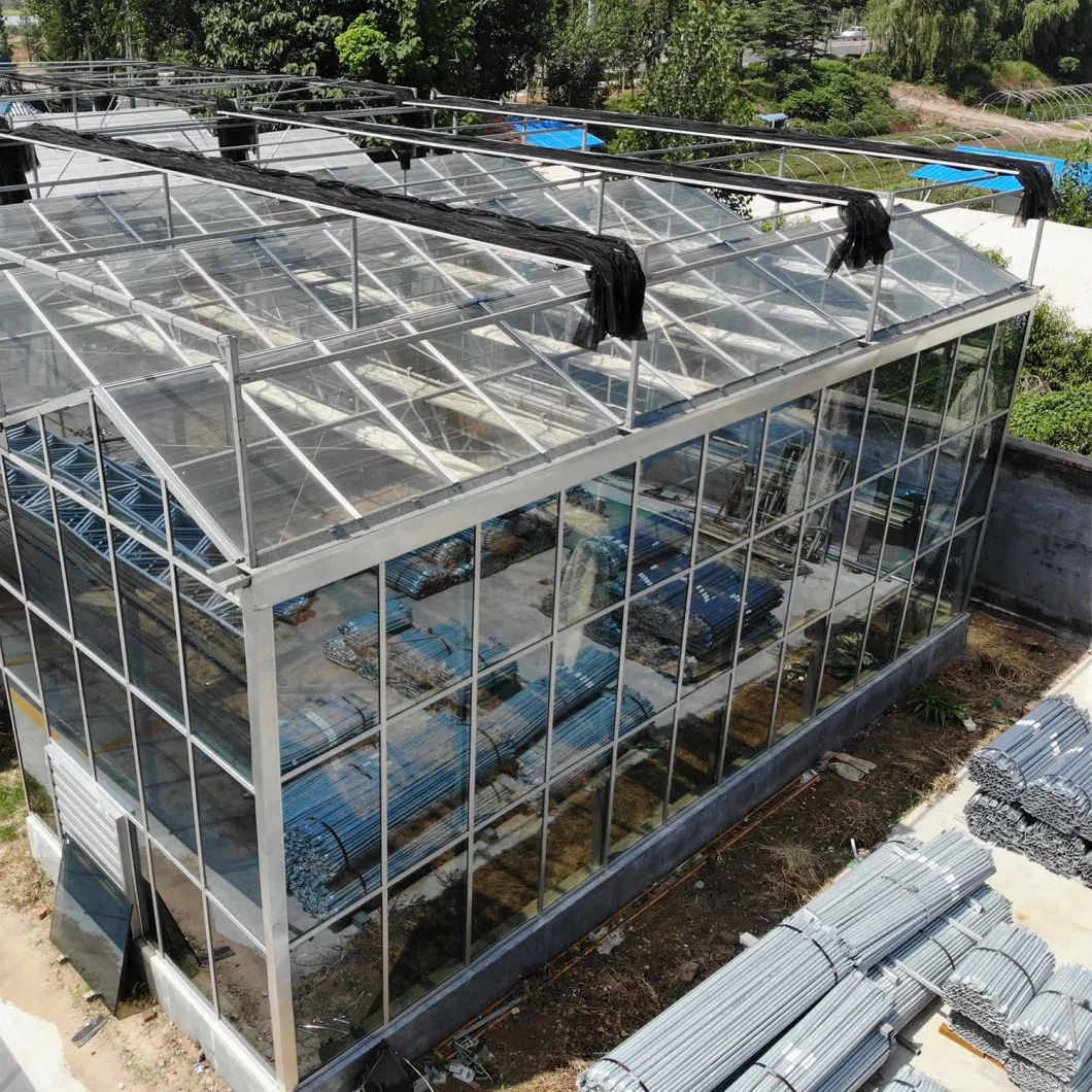 Agriculture/Commerce Multi Span Toughe Glass Green House for Vegetable/Flower/Fruits with Complete System/Hydroponic Systems/Automatic Irrigation System