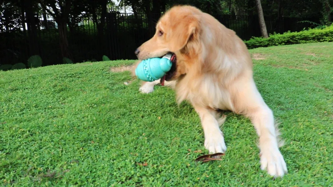 Dog Leakage Round Jar Bottle Shape Chew Toys Teething Aggressive Chewer Esg12795