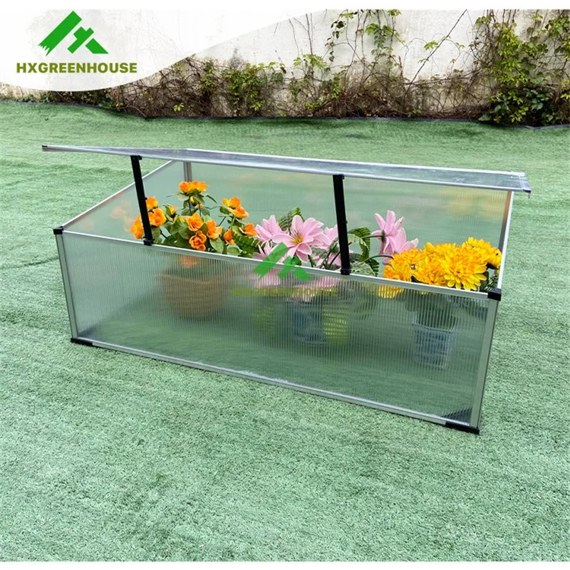 Plastic Grow Tent Complete Kit for Garden Flowers Hx63 Green House