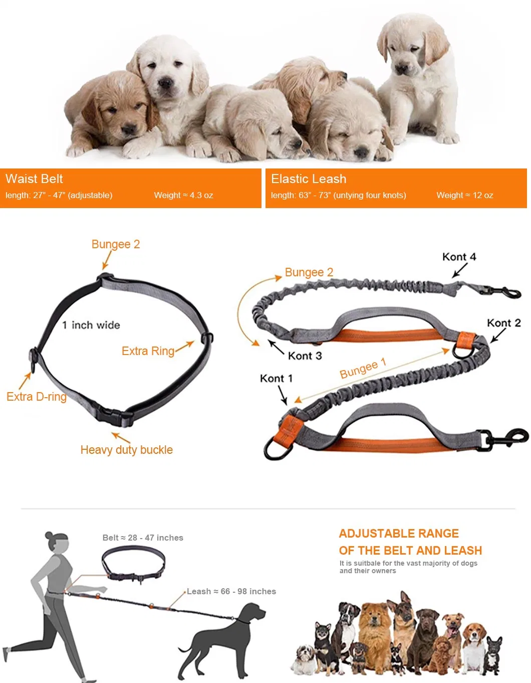 Pet Dog Cat Belt Dog Accessories Adjustable Harness Lead Leash Collar Leash Pet Supplies