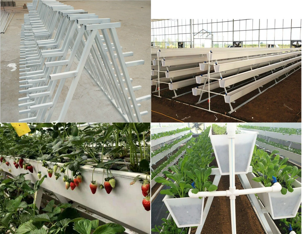 Nft Strawberry Hydroponic System Vertical Growing Rack System Strawberry PVC Trough