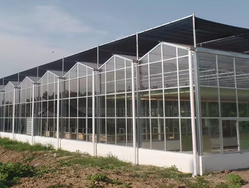 Farm/Garden/Eco Restaurant Vegetable/Fruit Green House Use Soilless Cultivate Nft Hydroponics System for Indoor Outdoor with Pipe