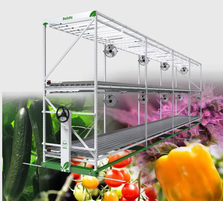 Vertical Grow System Dripping Irrigation Farming System Multi-Tiers Grow Racks