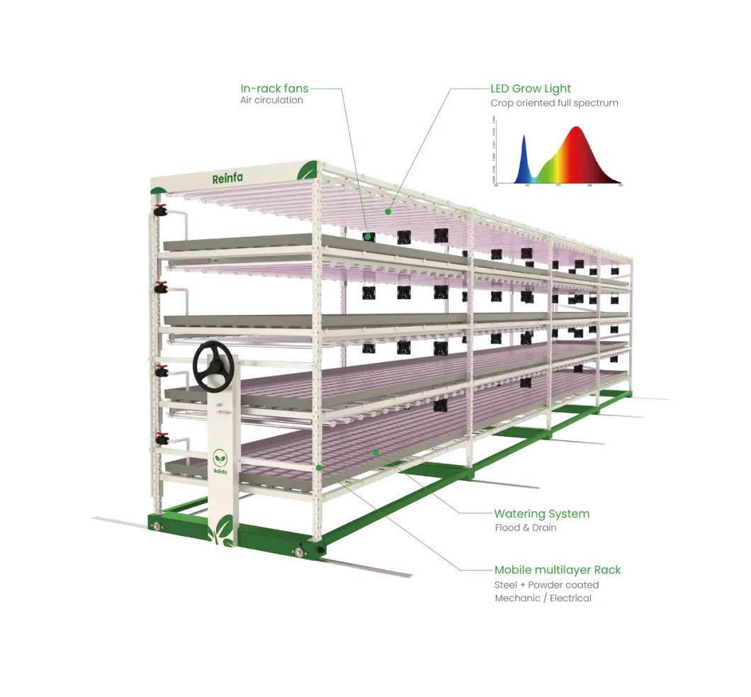 Vertical Grow System Dripping Irrigation Farming System Multi-Tiers Grow Racks