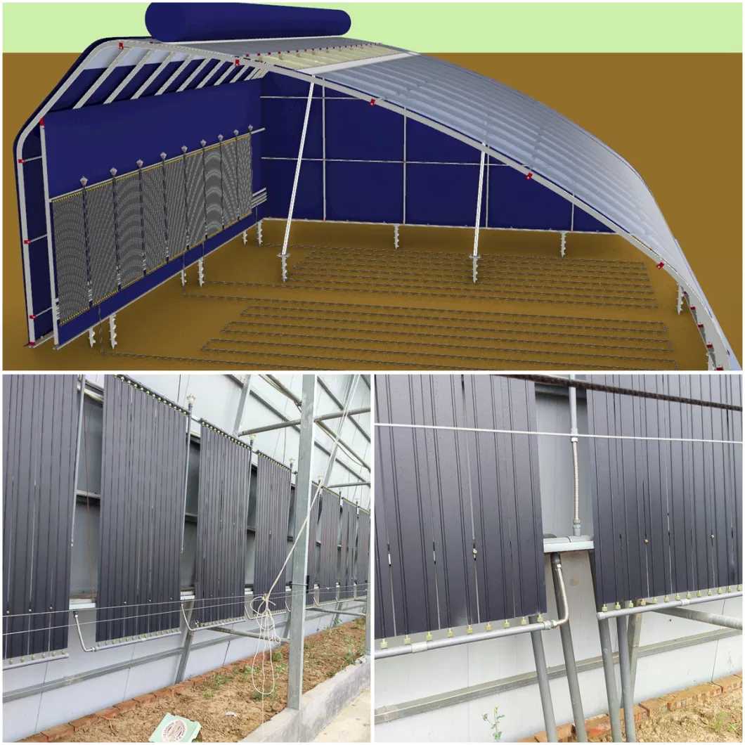 Bolt Connection Sunshine Solar Green House with Hot-DIP Galvanized Steel Skeleton and Plastic Film for Indoor Vegetables/Flowers/Hydroponics Culture