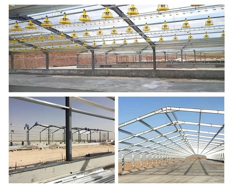 Prefabricated/Prefab Poultry/Chicken/Pig/Cow/Goat/Cattle/Hangar/Storage/Workshop Frame Steel Material Construction Structure Shed for Farm/Garden Roof Wall