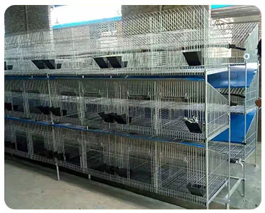 Good Price Outdoor H Type 3 Tiers Galvanized Breeding Battery Rabbit Cage For Philippines Farms