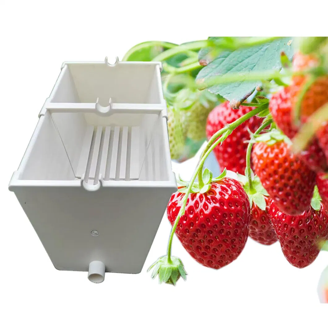 Nft Strawberry Hydroponic System Vertical Growing Rack System Strawberry PVC Trough