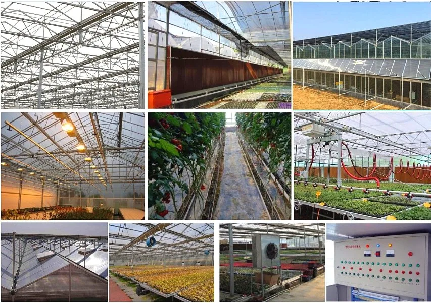 Commercial Farm/Polyethylene Arbonate Sheet Green House for Vegetables/Garden/Fruit Tomato/Cucumber/Lettuce/Pepper/Bell Pepper/Mushroom/Cherry/Tomato
