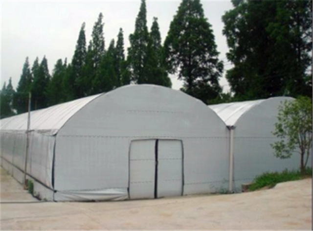 Low Cost Outdoor Rolling Bench Greenhouse for Mushroom