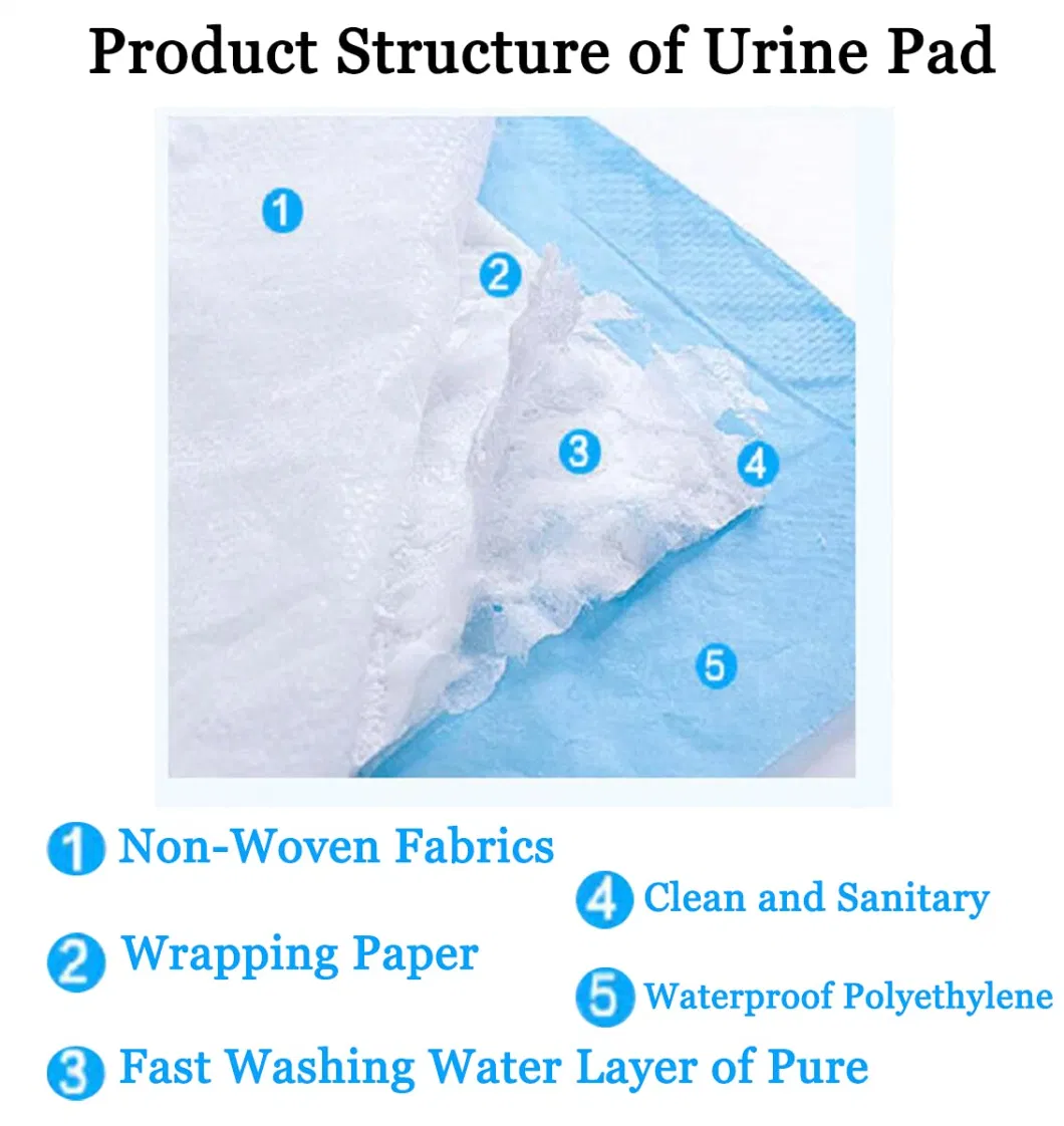 Pet Underpad Waterproof Bottom Non Woven Surface Disposable Pet Underlay PEE Mat