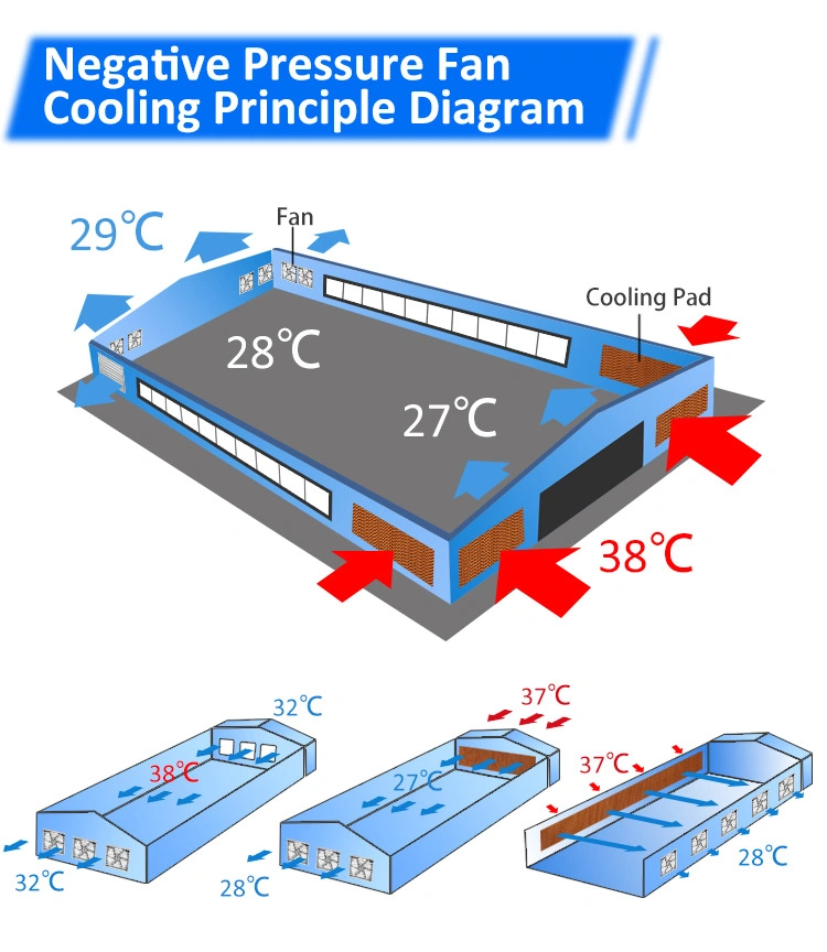 Tpye 800-1530 Galvanized Material Greenhouse Cooling Fan Livestock Breeding Exhaust Fan