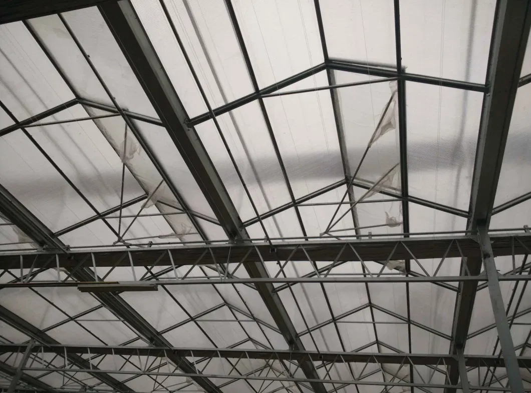 Venlo Type PC Greenhouses Glass Greenhouse for Vegetables/Flower/Cucumber Exhibition Hall Farm with Hydroponics System