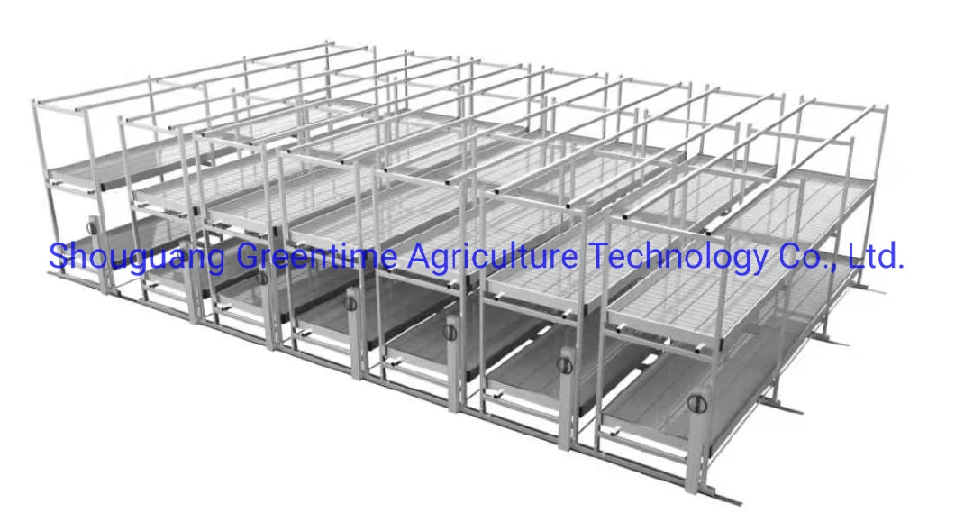 Irrigation Hydroponic Ebb and Flow Rolling Bench Growing Rack System Indoor Vegetable