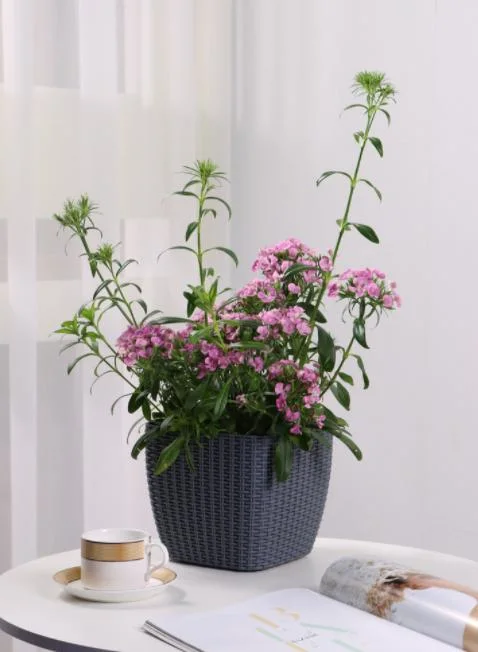 Wholesale Garden Rattan Flower Pots Factory Directly Sale Garden Supplies Medium Size Self-Watering Functions for Home Office (TB-3111)