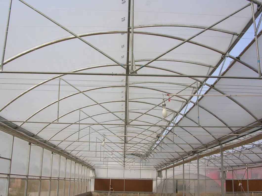 Factory Supply Net Covered Multi-Tunnel Greenhouse