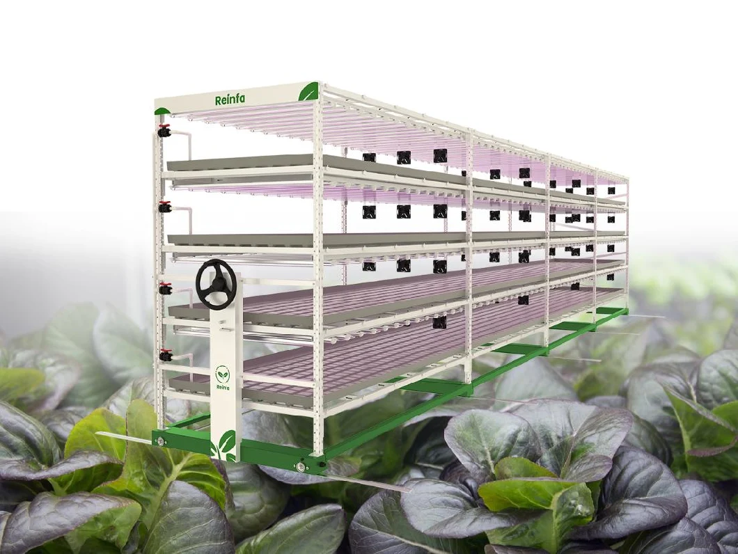 Vertical Grow System Dripping Irrigation Farming System Multi-Tiers Grow Racks