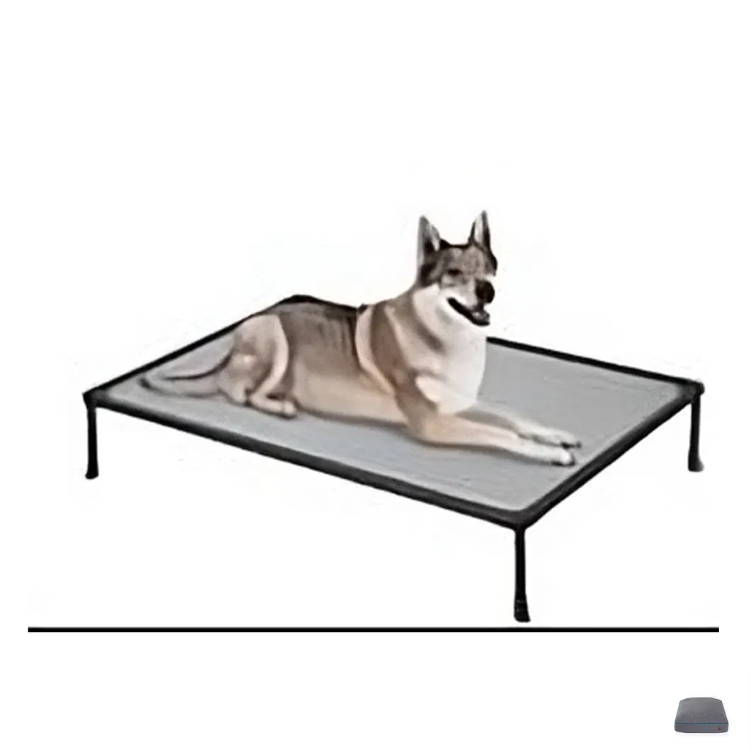 Portable Elevated Dog Bed Iron Frame Bed with Different Size for Outdoor
