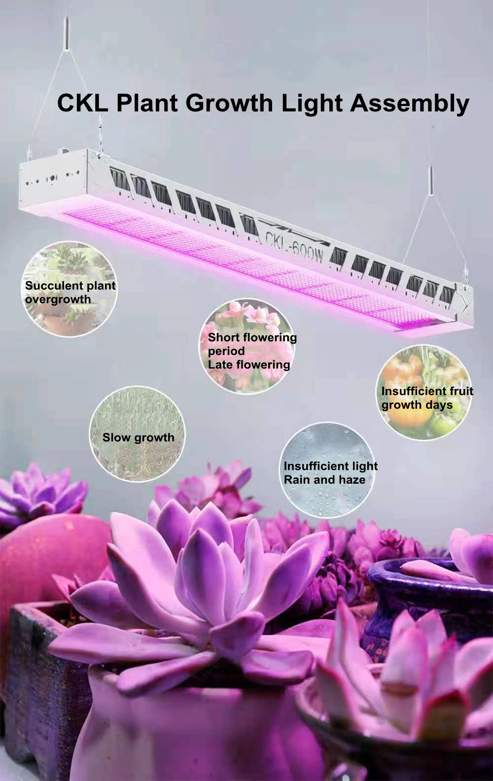600W Ckl Plant Growth Light Plant Light Supplement Housing Kit