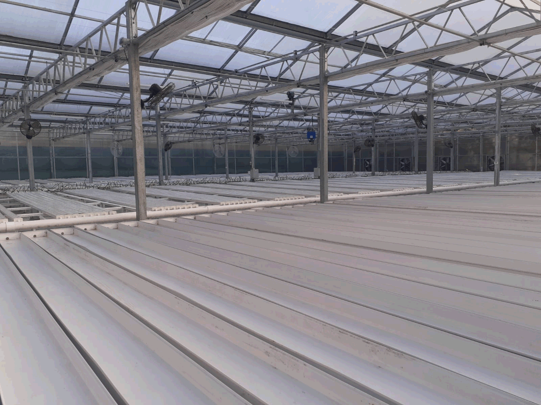 Hydroponic Nursery Growing Tray Fodder System