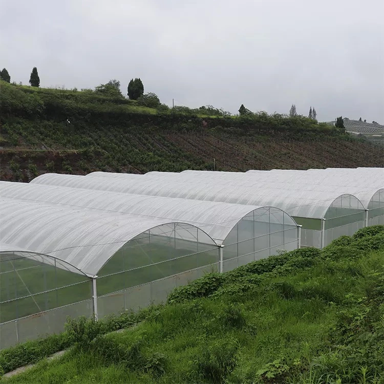 Serre Multi Span Garden Warm Agro Shed with Ventilation System