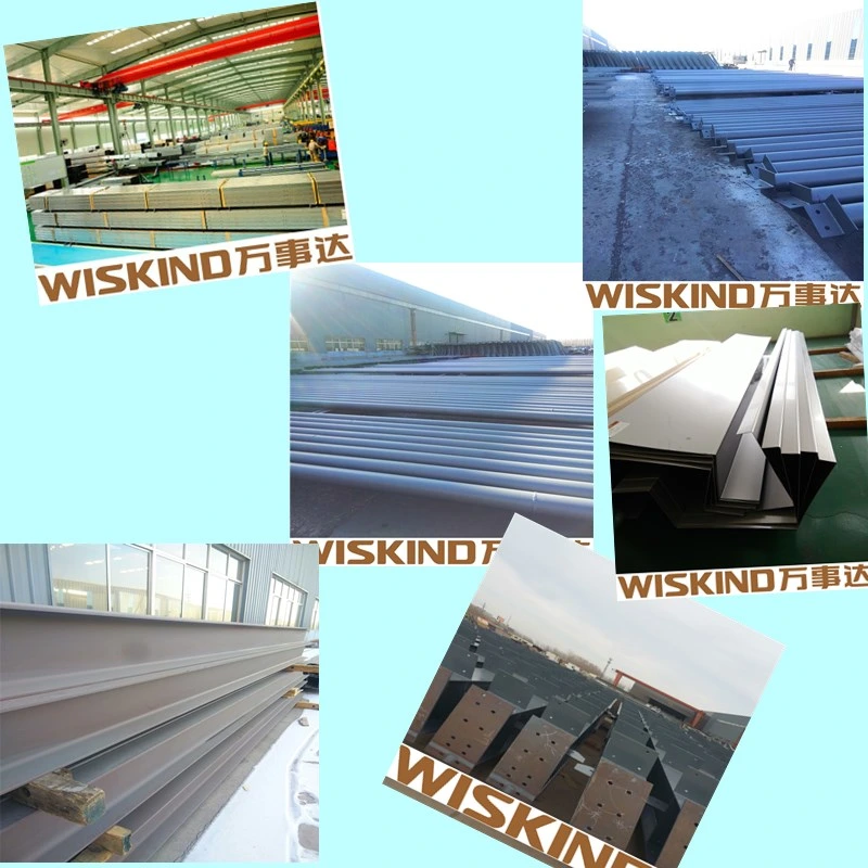 Prefab Building Steel Frame for Warehouse Cold Room etc.