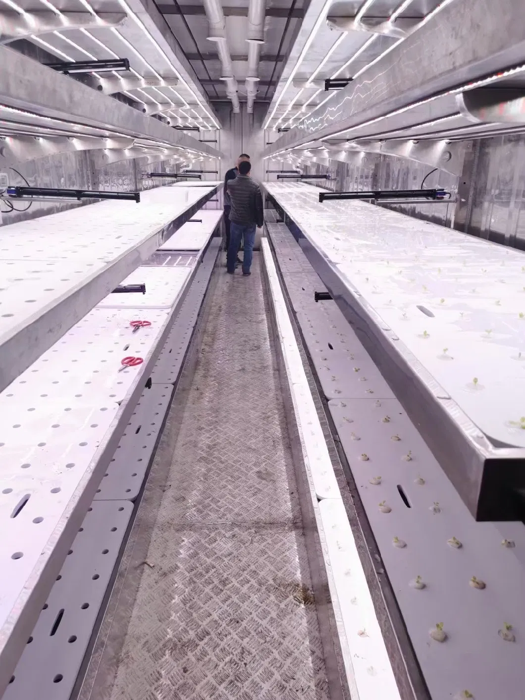 Hydroponic Container Farm/Plant Factory