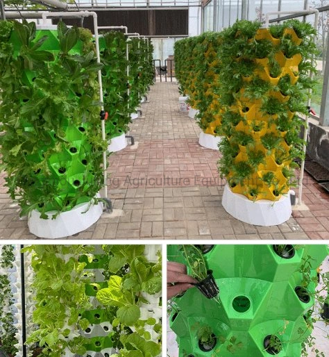 Irrigation System Aeroponics Indoor Hydroponic Growing Systems Home Vertical Farming Tower Garden with LED Light Vertical Growing Vegetables