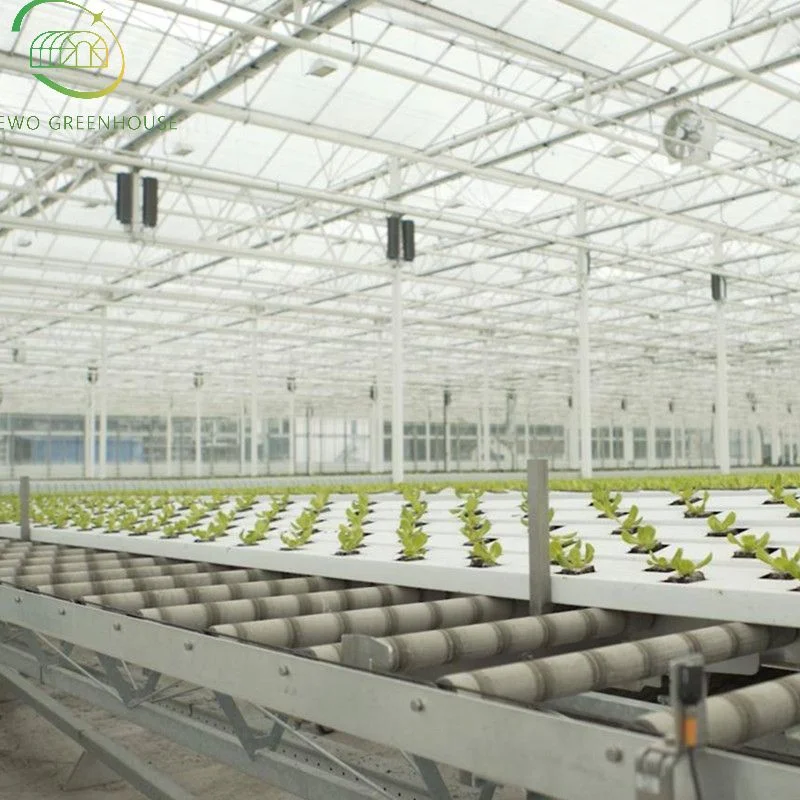 2023 Hotsale China Factory Hydroponic Systems, Hydroponics Herb Starter, Family Herb Garden, Mini Herb Garden