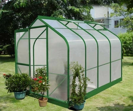 Hot-DIP Galvanized Steel Structure Polycarbonate (PC) Sheet Mini Greenhouse for Flowers/Vegetables