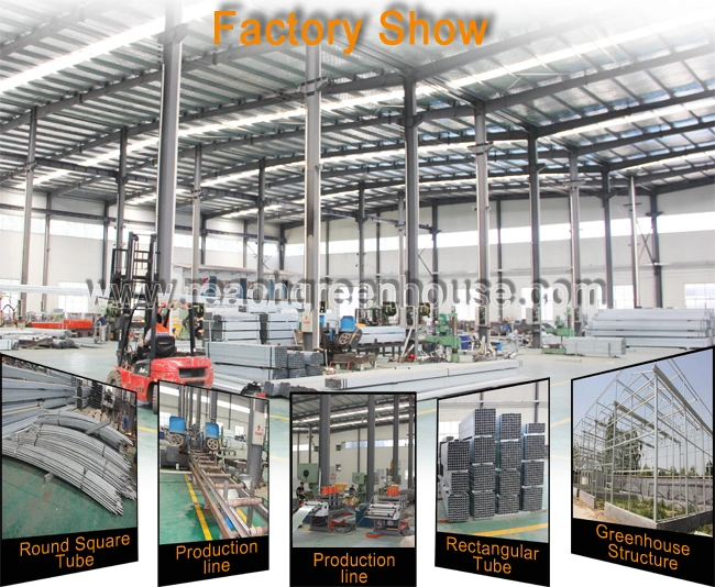 Hot-DIP Galvanized Steel Structure Polycarbonate (PC) Sheet Mini Greenhouse for Flowers/Vegetables