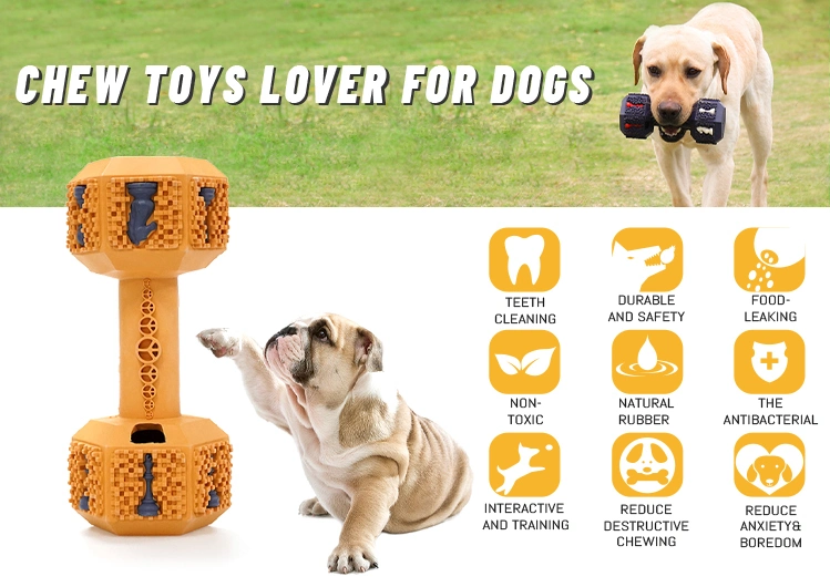 Modern Manufacture Rubber Indestructible Leakage Food Dumbbell Bite Pet Chew Dog Toy