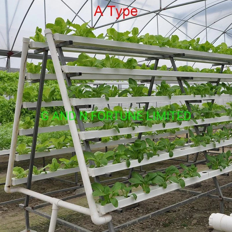 High Quality Vertical Farm Hidroponia PVC Aeroponic Nft Nft Hydroponic System