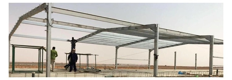 Prefabricated/Prefab Poultry/Chicken/Pig/Cow/Goat/Cattle/Hangar/Storage/Workshop Frame Steel Material Construction Structure Shed for Farm/Garden Roof Wall