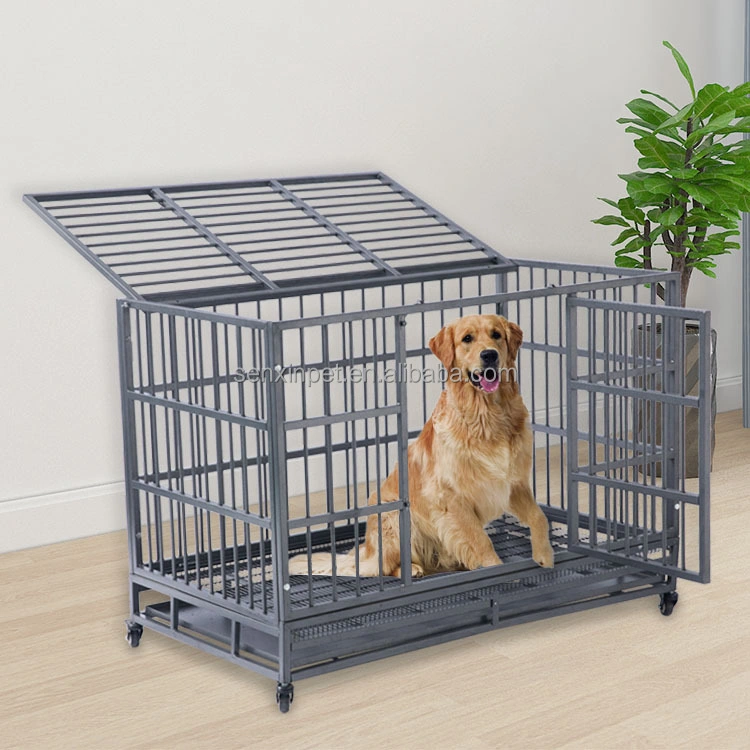 Customized Professional Walk-in Kennel System Large Dog Cage Stainless Steel Dog Kennels