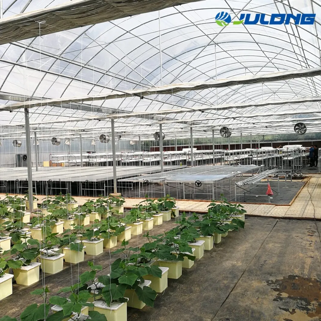 Low Cost Agricultural Multi Span Tunnel Plastic Film Greenhouses with Hydroponic System for Growing Tomato/Peppers/Eggplant/Strawberry/Cucumber