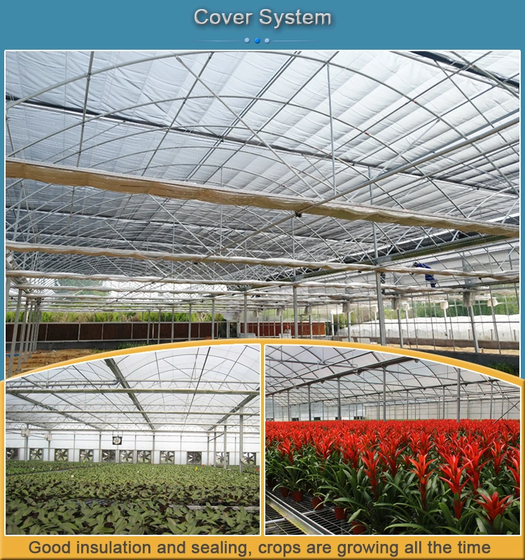 Multi-Span Arch Type Film Greenhouse with Hydroponics Growing System Indoor