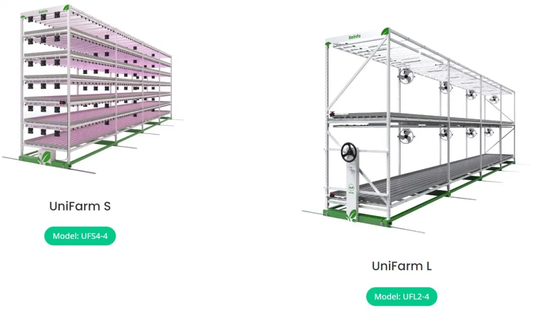 Vertical Grow System Dripping Irrigation Farming System Multi-Tiers Grow Racks