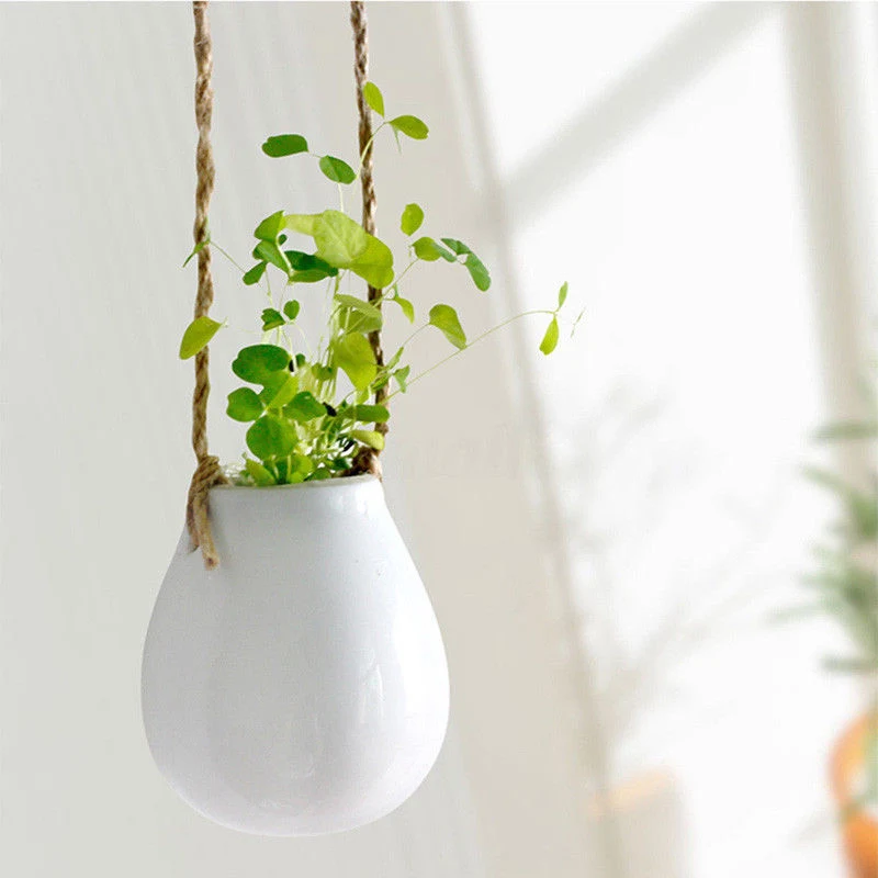 Indoor/Outdoor Wall/Hanging/Corner/Balcony Herb/Seed Ceramic/Terracotta Modern/Decorative/Concrete Large/Small Garden Planter Pot