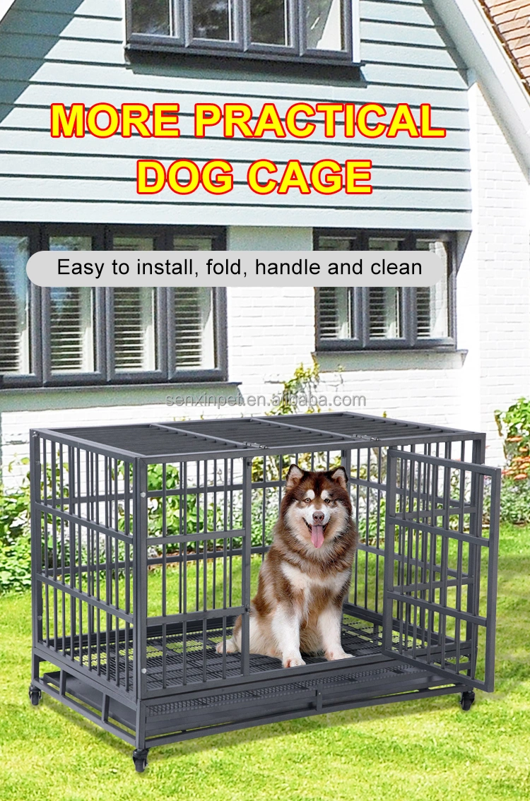 Customized Professional Walk-in Kennel System Large Dog Cage Stainless Steel Dog Kennels